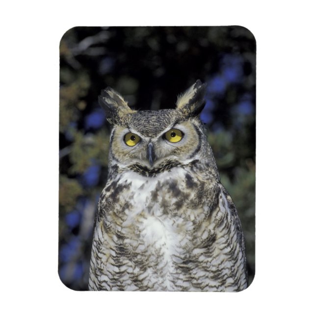 NA, USA, New Mexico, Wildlife West Nature Park Magnet (Vertical)