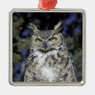NA, USA, New Mexico, Wildlife West Nature Park Metal Tree Decoration