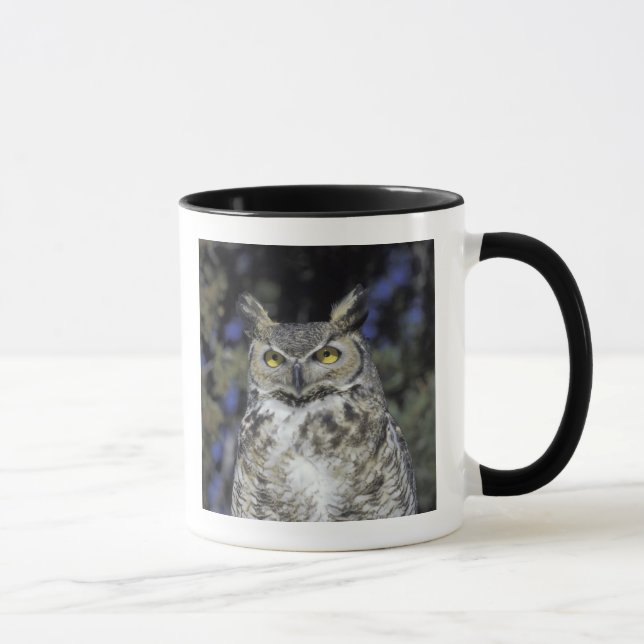 NA, USA, New Mexico, Wildlife West Nature Park Mug (Right)