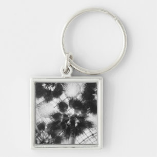 NA, USA, New York, New York City. Palm trees in Key Ring