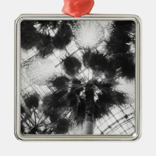 NA, USA, New York, New York City. Palm trees in Metal Tree Decoration