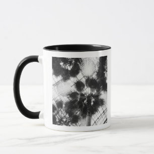 NA, USA, New York, New York City. Palm trees in Mug
