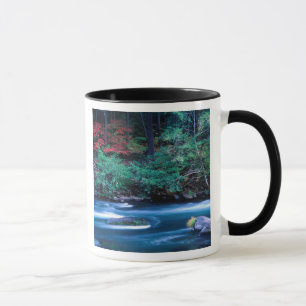 NA, USA, Oregon, Fall Foliage on North Umpquah Mug
