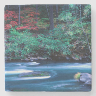 NA, USA, Oregon, Fall Foliage on North Umpquah Stone Coaster