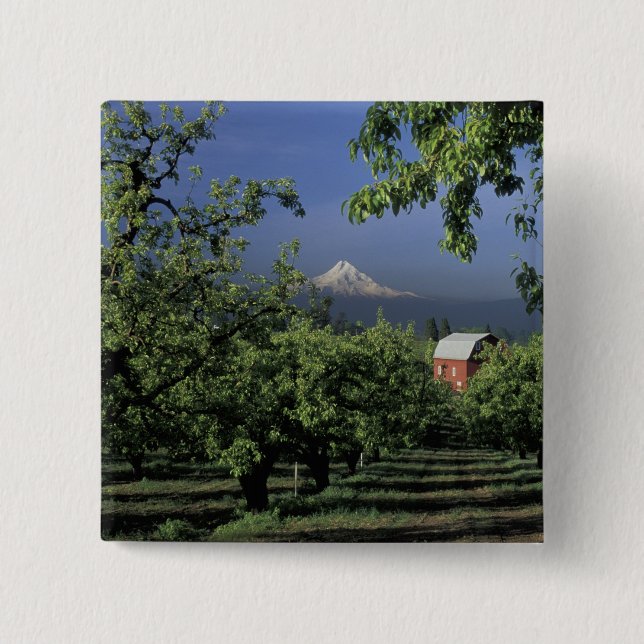 NA, USA, Oregon, near Hood River Mt. Hood with 15 Cm Square Badge (Front)