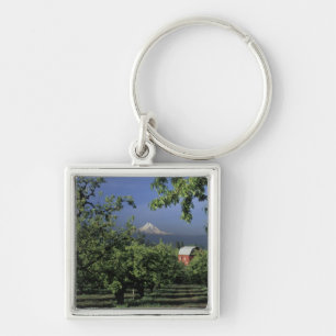 NA, USA, Oregon, near Hood River Mt. Hood with Key Ring