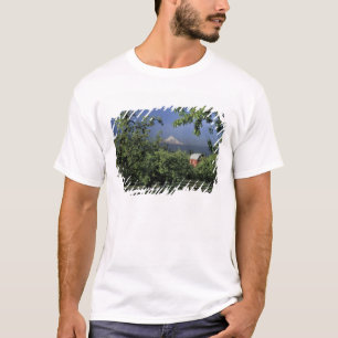 NA, USA, Oregon, near Hood River Mt. Hood with T-Shirt