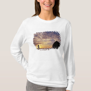 NA, USA, Oregon, Oregon Coast, Canon Beach with T-Shirt