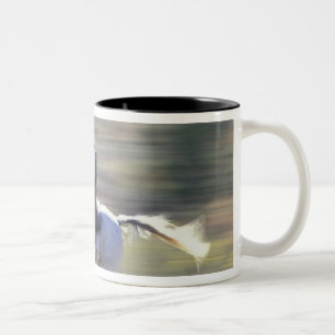 NA, USA, Oregon, Seneca, Ponderosa Ranch, Cowboy Two-Tone Coffee Mug