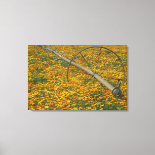 NA, USA, Oregon. Watering system in field of Canvas Print
