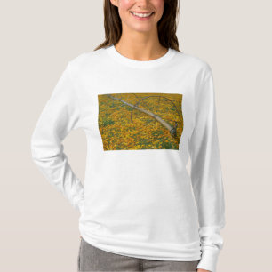 NA, USA, Oregon. Watering system in field of T-Shirt