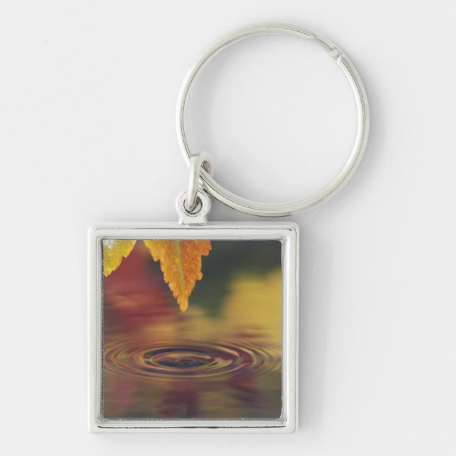 NA, USA, Pacific Northwest Key Ring (Front)