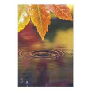 NA, USA, Pacific Northwest Photo Print