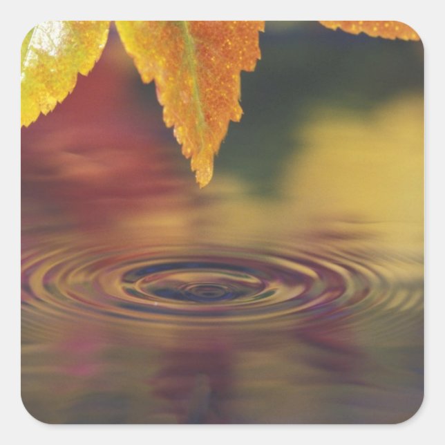 NA, USA, Pacific Northwest Square Sticker (Front)