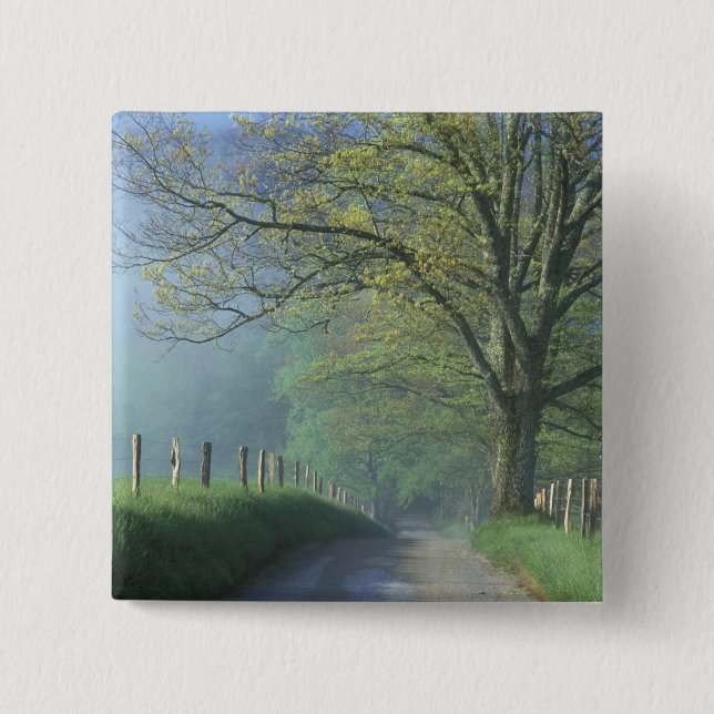 NA, USA, Tennessee, Cades Cove, Great Smoky 15 Cm Square Badge (Front)