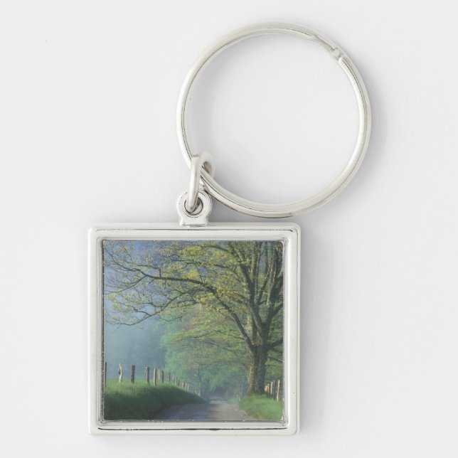 NA, USA, Tennessee, Cades Cove, Great Smoky Key Ring (Front)