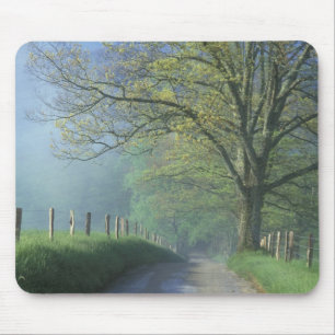 NA, USA, Tennessee, Cades Cove, Great Smoky Mouse Mat