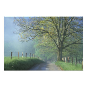 NA, USA, Tennessee, Cades Cove, Great Smoky Photo Print