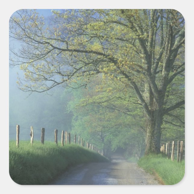 NA, USA, Tennessee, Cades Cove, Great Smoky Square Sticker (Front)