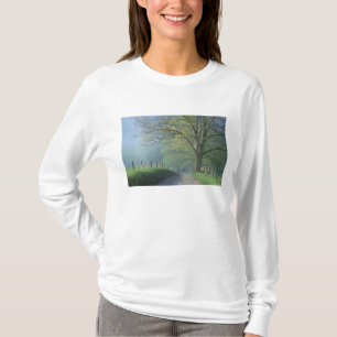 NA, USA, Tennessee, Cades Cove, Great Smoky T-Shirt