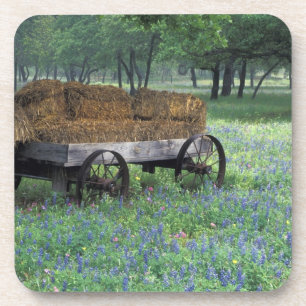 NA, USA, Texas, east of Devine, Old wagon in Coaster