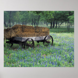 NA, USA, Texas, east of Devine, Old wagon in Poster