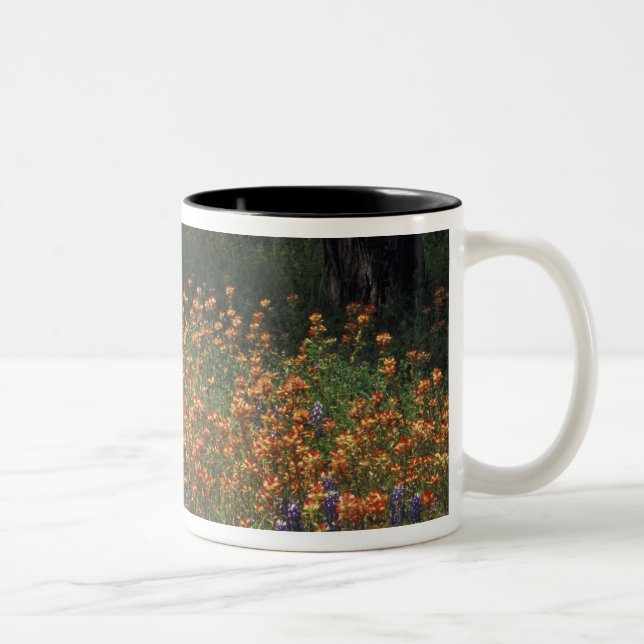 NA, USA, Texas, Hill Country, Paint brush and Two-Tone Coffee Mug (Right)