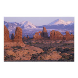 NA, USA, Utah, Arches National Park. Garden of Photo Print