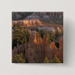NA, USA, Utah, Bryce Canyon NP 2 15 Cm Square Badge