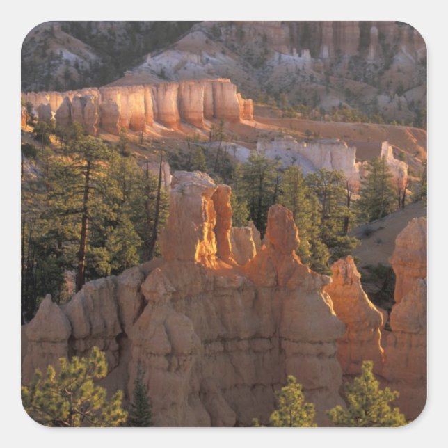 NA, USA, Utah, Bryce Canyon NP 2 Square Sticker (Front)