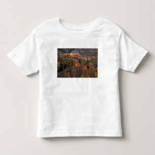 NA, USA, Utah, Bryce Canyon NP 2 Toddler T-Shirt