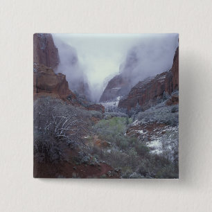 NA, USA, Utah, Zion NP, Spring snow storm, 15 Cm Square Badge