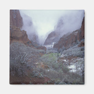 NA, USA, Utah, Zion NP, Spring snow storm, Magnet