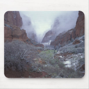 NA, USA, Utah, Zion NP, Spring snow storm, Mouse Mat