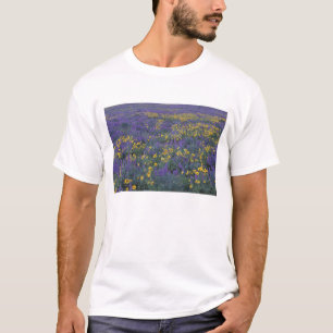 NA, USA, Washington Dalles, Lupine and T-Shirt