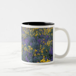 NA, USA, Washington Dalles, Lupine and Two-Tone Coffee Mug