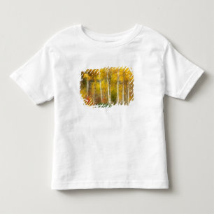 NA, USA, Washington, Fall Aspen Trees along Toddler T-Shirt