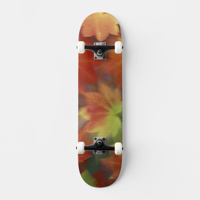 NA, USA, Washington, Issaquah, Vine maple Skateboard (Front)