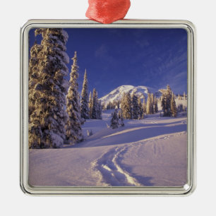 NA, USA, Washington, Mt. Rainier NP, Snowshoe Metal Tree Decoration