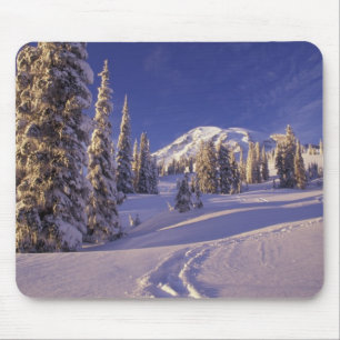 NA, USA, Washington, Mt. Rainier NP, Snowshoe Mouse Mat