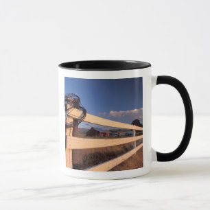 NA, USA, Washington, near Walla Walla, fence, Mug