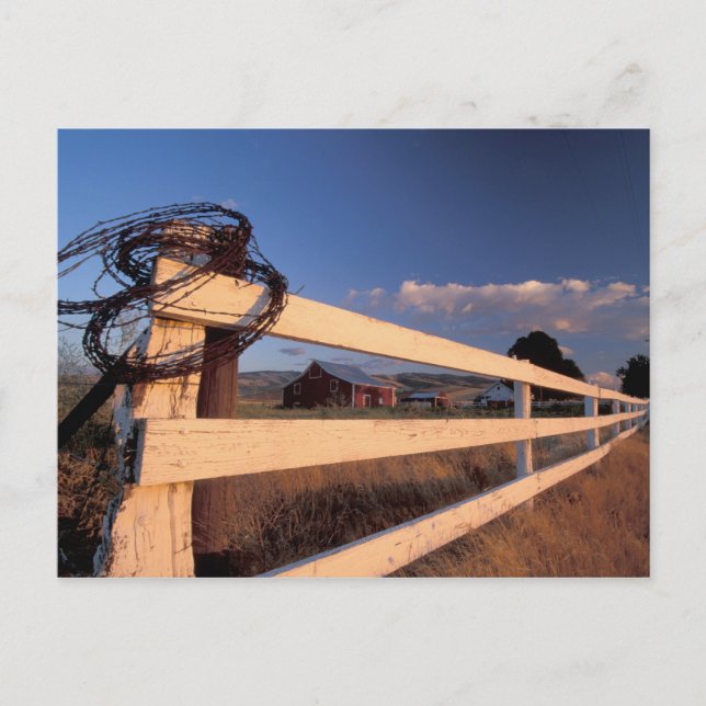 NA, USA, Washington, near Walla Walla, fence, Postcard (Front)