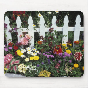 NA, USA, Washington, Sammamish, White picket Mouse Mat