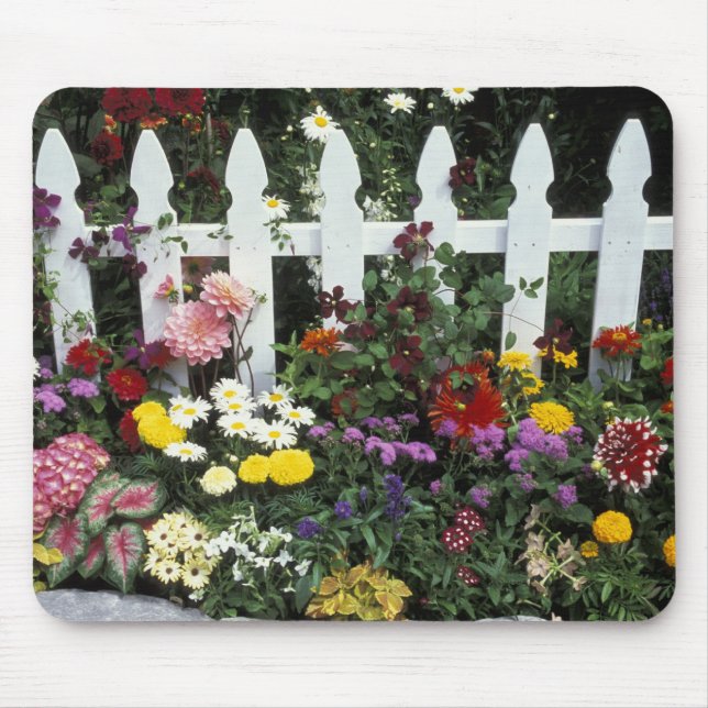 NA, USA, Washington, Sammamish, White picket Mouse Mat (Front)