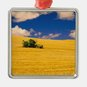 NA, USA, Washington State, Palouse Region, Metal Tree Decoration