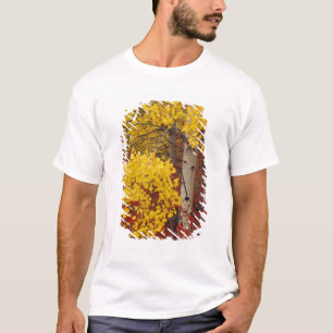 NA, USA, Washington, Wenatchee National Forest. T-Shirt
