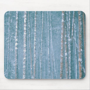 NA, USA, WY. Snowy winter scene among Mouse Mat