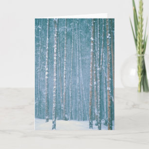 NA, USA, WY. Snowy winter scene Holiday Card