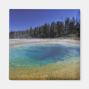 NA, USA, Wyoming, Yellowstone National Park. 2 Magnet