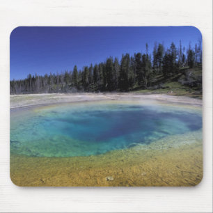 NA, USA, Wyoming, Yellowstone National Park. 2 Mouse Mat